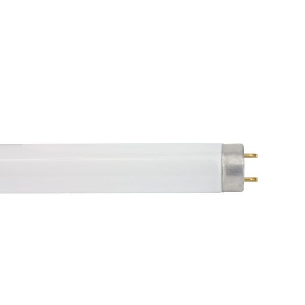 Sylvania 23500 - F15T8 350BL 15W 18  Blacklight Fluorescent Preheat Lamp Online now